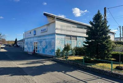 Spațiu comercial, de 1,433 mp, în Satu Nou de Jos - 18