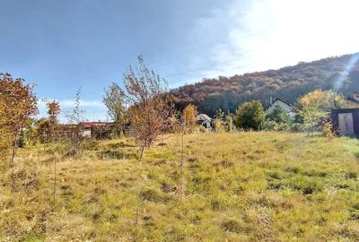 Teren Construcții intravilan de 660 mp, în Bunloc - 3