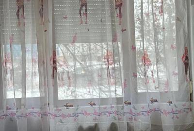 Garsonieră nedecomandată în Rogerius - 1