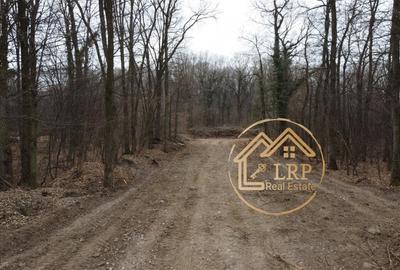 Dragomiresti Vale-Padure-teren intravilan, certificat urbanism 2025 - 12