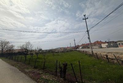 Teren de 1500 mp, în Nord-Est - 1