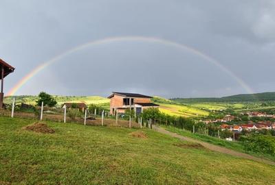 Teren Construcții intravilan de 708 mp, în Hamba - 1