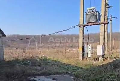 Spațiu comercial, de 1,000 mp, în Central - 11