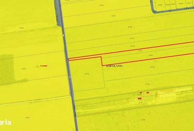 Teren de 17700 mp, în Tunari - 3