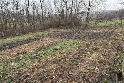 Casă în George Enescu - 2