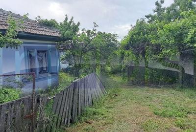 Casă cu 5 camere cu Teren 2500 Mp în Scrioaștea - 4