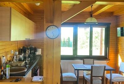 Casa de inchiriat 240mp utili, Zona Grigorescu - 3