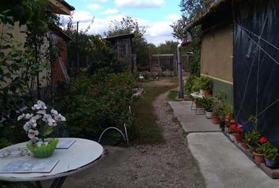 Reco Casa in Cefa  Centrala la 20km de Oradea - 7