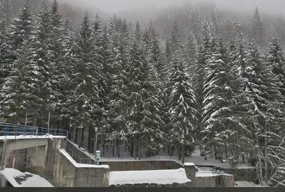 Teren de 1810000 mp, în Pescari - 1