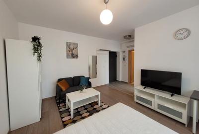 Garsoniera Grozavesti - 4