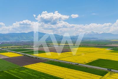 Teren agricol extravilan de 10600 mp, în Codlea - 15
