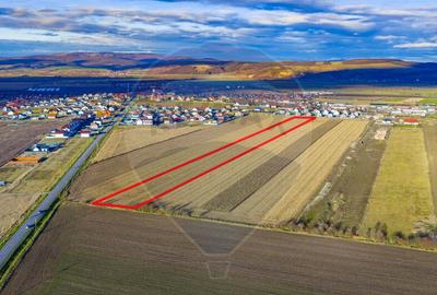 Teren de 24845 mp, în Bod