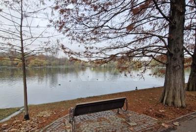 Apartament cu 2 camere la 12 minute de metrourile Dristor 1 si Grigorescu - 30