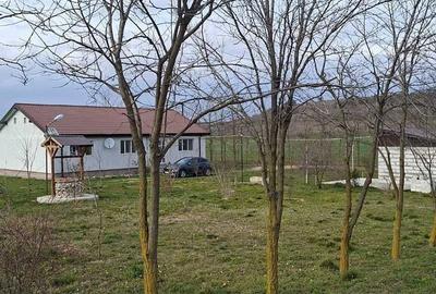 Spațiu comercial, în Peștera - 9
