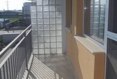 Apartament cu 2 camere semidecomandat, mobilat în Dumbrăvița - 4