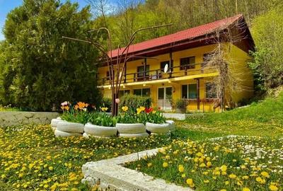 Teren pentru investitii 11.000 mp - 1