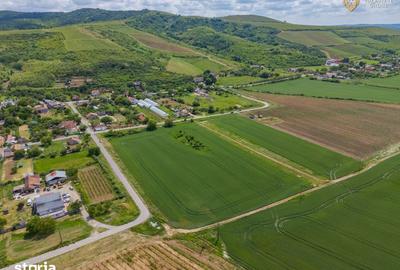 Teren de 6400 mp, în Ghioroc - 2