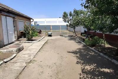 Casa vanzare Pecica - 4