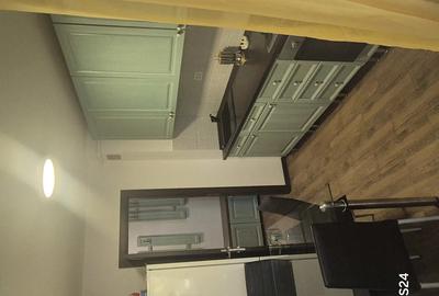 Fara firma Apartament Torontalului 66 a Timi?oara Fara firma Apartament Torontalului 66 a Timi?oara - 7