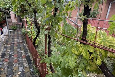 Casă cu 5 camere în Poșta - 5