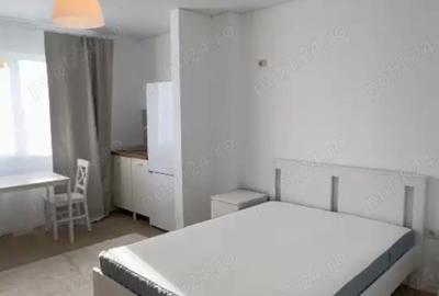 Garsonieră nedecomandată în Dudu - 4