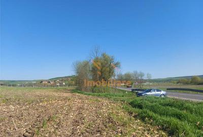 TEREN INTRAVILAN | 4300 MP | HIDISELUL DE SUS | BIHOR - 4