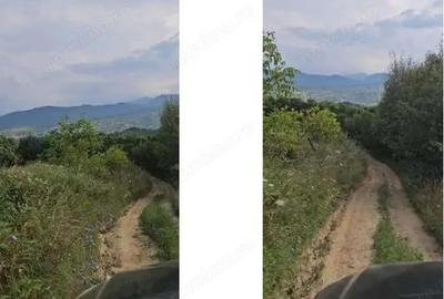 Teren extravilam, loc. Rona de Sus, jud. Maramure?, - 8