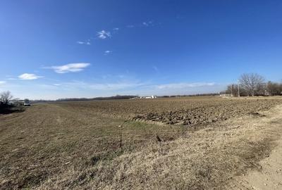 Domnesti, Teghes, teren in suprafata de 21278mp, deschidere 41ml, gaz si curent. - 5