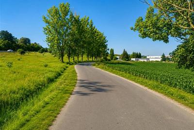 Teren agricol extravilan de 22500 mp, în Periferie - 3