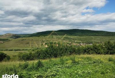 Teren de 2200 mp, în Baciu