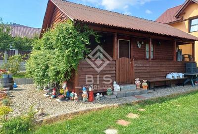 Teren intravilan 983 mp + cabană, curent trifazic,  Zonă linistită - 3