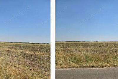 Teren extravilan Smardioasa, cota 1/6, ID: R2688427 - 2