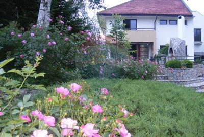 Vanzare vila cu D+P+Et +M, intravilan 1670 mp, Saftica - 5