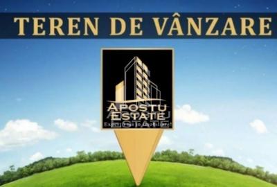 Teren agricol extravilan de 5000 mp, în Bârsa - 1