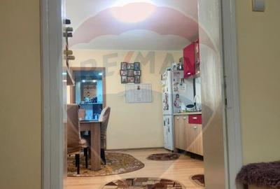 Casa la tara in satul Retis, comuna Bradeni, aproape de ... - 8