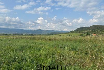 Teren agricol extravilan de 4800 mp, în Cristian - 3