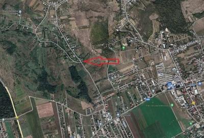 Vanzare teren Miroslava - 1