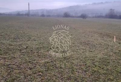 Teren agricol extravilan de 1698 mp, în Dumitrița - 2