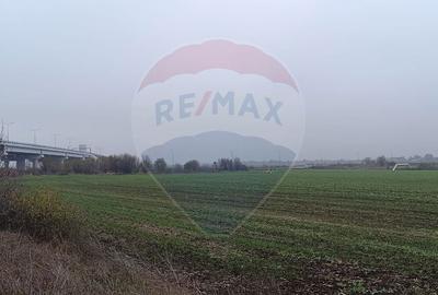 Spațiu comercial, în Dimieni - 6