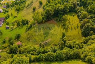 COMISION 0% Teren 11,381 mp Moieciu de Jos / Oportunitate... - 10