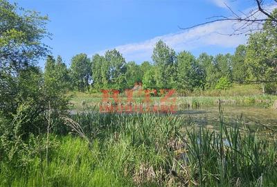 Teren de 295000 mp, în Stoenești - 9