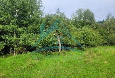 Teren pentru cabana pensiune zona Lac Micesti! - 7