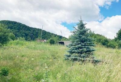 Teren de 3000 mp, în Alexandru cel Bun