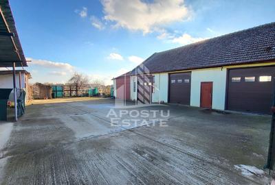 Casa individuala,independenta energetic, 5 camere,teren3783,Peciu Nou - 25