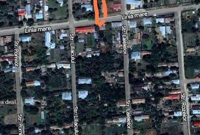 Casă cu 9 camere cu Teren 3100 Mp în Segarcea-Deal - 8