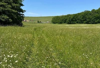 Teren de 3500 mp, în Central - 2