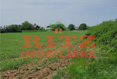 Teren de 6900 mp, în Central - 5