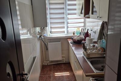 Apartament cu 2 camere semidecomandat în Banat - 4