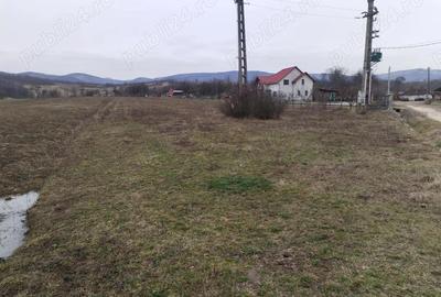 Teren de 3000 mp, în Vața de Jos - 1