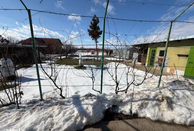 Casă cu 3 camere cu Teren 1871 Mp în Găneasa - 4